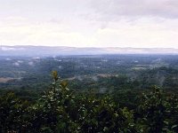 Kakamega Rain Forest